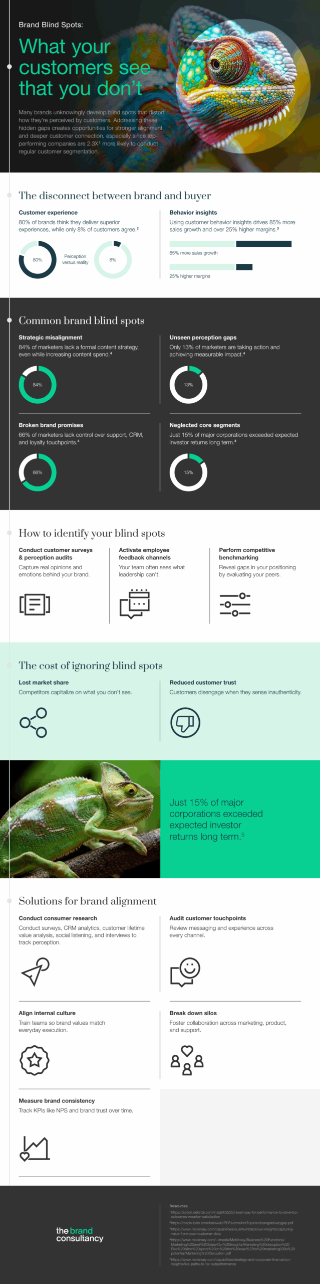 The Brand Consultancy-v3